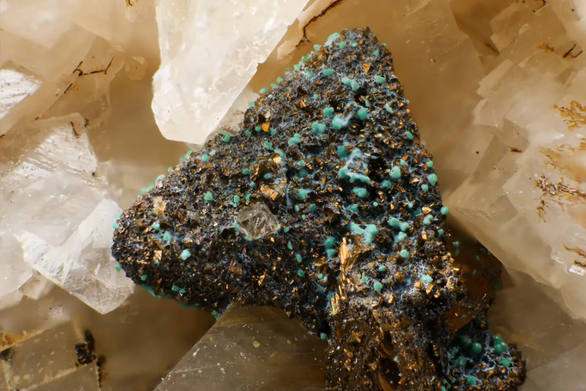 mineraux lyon